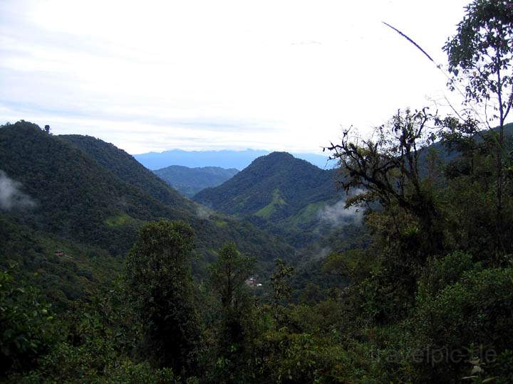 sa_ecuador_011.jpg - Pfad durch den Nebelwald im Naturreservat "Bellavista" ca. 1,5 Stunden von Quito