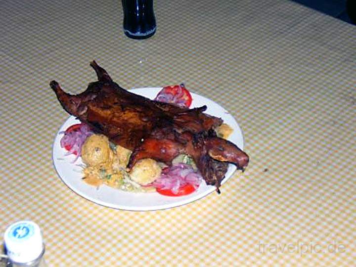 sa_ecuador_025.jpg - Das Nationalgericht in Ecuador: "Cuy" gegrilltes Meerschweinchen