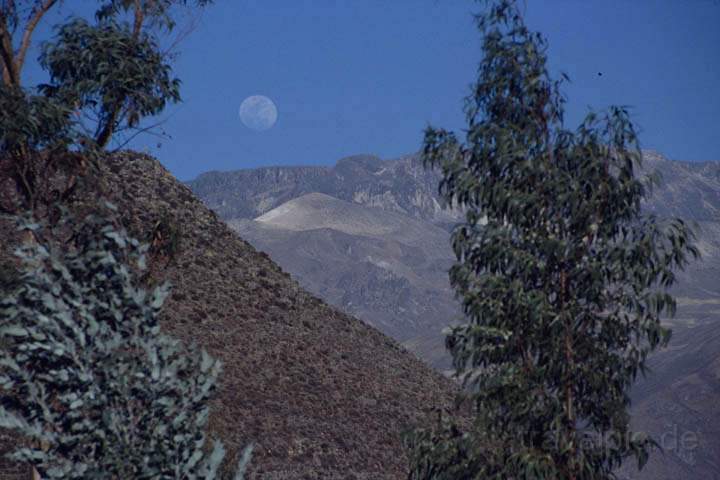 sa_pe_colca_canyon_005.jpg