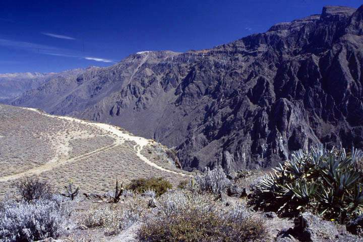 sa_pe_colca_canyon_010.jpg