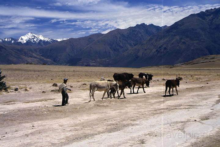 sa_pe_cusco_umland_022.jpg