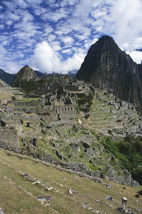 sa_pe_machu_picchu_009.jpg