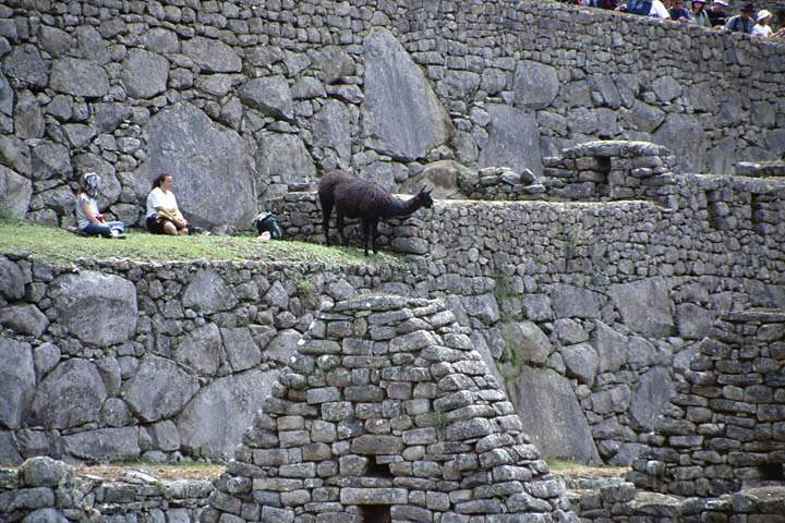 sa_pe_machu_picchu_014.jpg