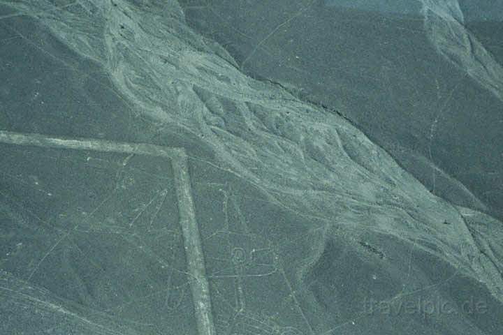 sa_pe_nazca_006.jpg