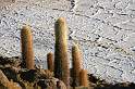 sa_bo_salar_de_uyuni_004